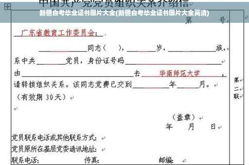 新疆自考毕业证书图片大全(新疆自考毕业证书图片大全高清)