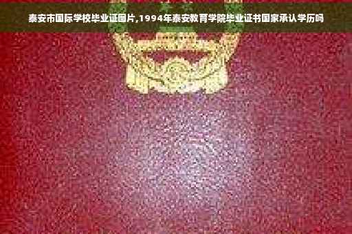 泰安市国际学校毕业证图片,1994年泰安教育学院毕业证书国家承认学历吗