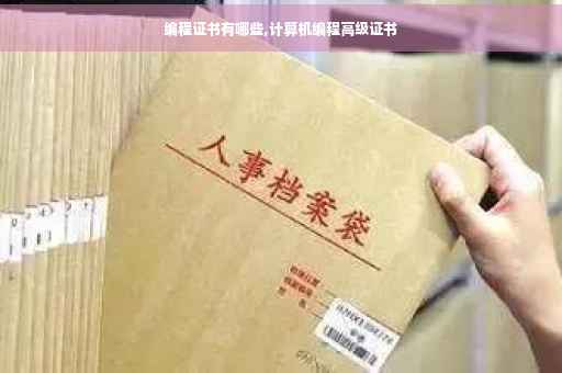 编程证书有哪些,计算机编程高级证书