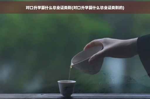 对口升学算什么毕业证类别(对口升学算什么毕业证类别的)