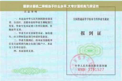 国家计算机二级相当于什么水平,大专计算机有几级证书