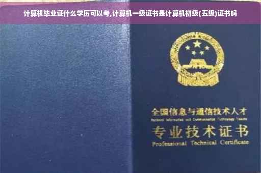 计算机毕业证什么学历可以考,计算机一级证书是计算机初级(五级)证书吗