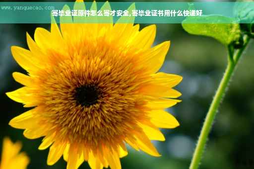 寄毕业证原件怎么寄才安全,寄毕业证书用什么快递好