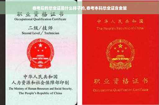 春考后的毕业证是什么样子的,春考本科毕业证含金量