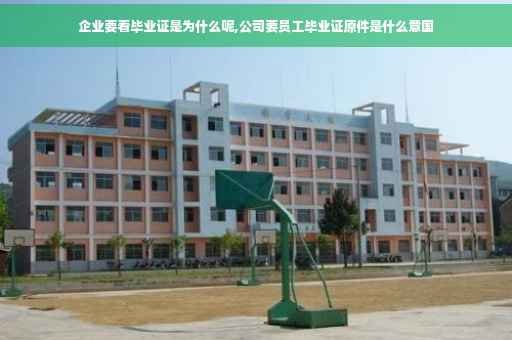 企业要看毕业证是为什么呢,公司要员工毕业证原件是什么意国