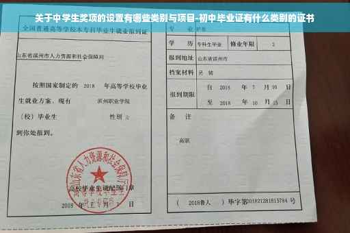 关于中学生奖项的设置有哪些类别与项目-初中毕业证有什么类别的证书
