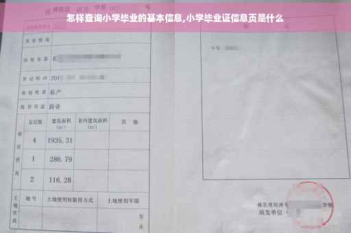 怎样查询小学毕业的基本信息,小学毕业证信息页是什么