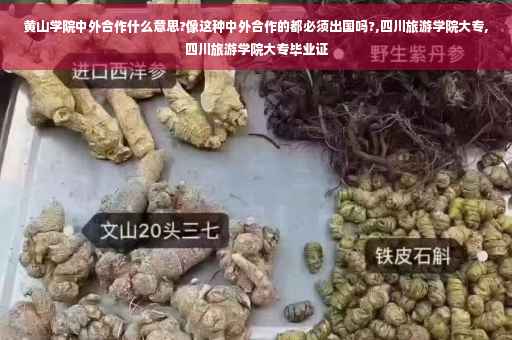 黄山学院中外合作什么意思?像这种中外合作的都必须出国吗?,四川旅游学院大专,四川旅游学院大专毕业证