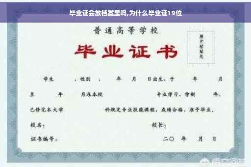 毕业证会放档案里吗,为什么毕业证19位