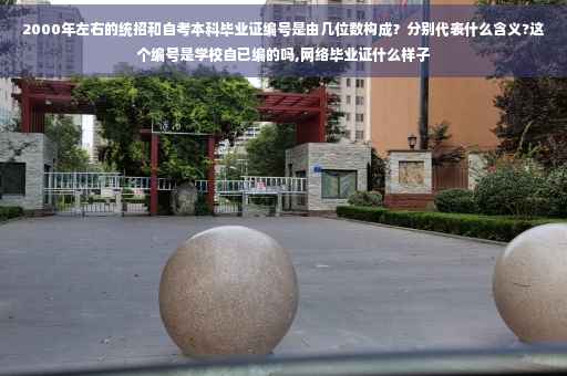 2000年左右的统招和自考本科毕业证编号是由几位数构成？分别代表什么含义?这个编号是学校自已编的吗,网络毕业证什么样子