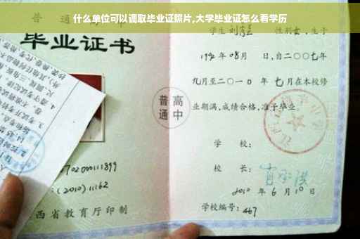 什么单位可以调取毕业证照片,大学毕业证怎么看学历