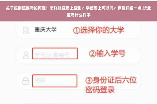 关于报到证编号的问题！怎样能在网上查到？学信网上可以吗？步骤详细一点,毕业证号什么样子