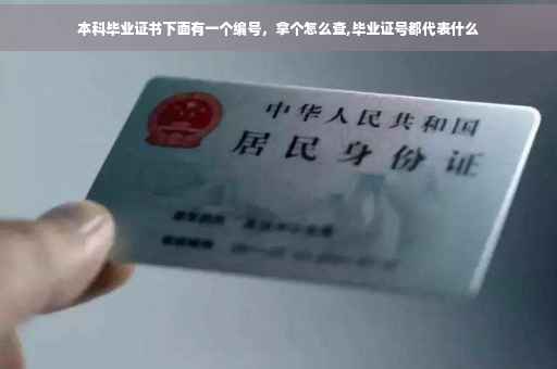 本科毕业证书下面有一个编号，拿个怎么查,毕业证号都代表什么