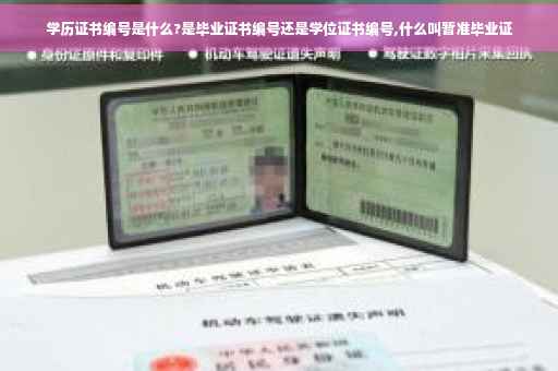 学历证书编号是什么?是毕业证书编号还是学位证书编号,什么叫暂准毕业证
