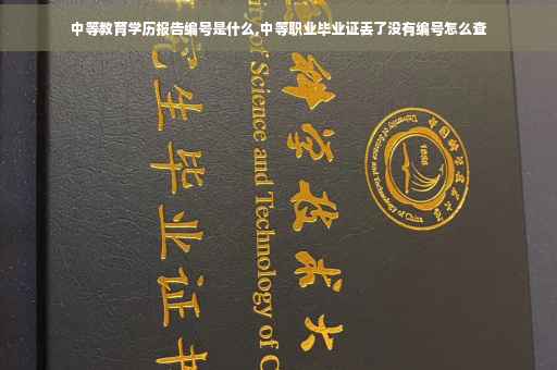 中等教育学历报告编号是什么,中等职业毕业证丢了没有编号怎么查