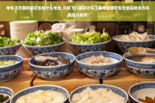 考电子方面的研究生有什么专业,北航飞行器设计与工程专业研究生毕业后就业方向和压力如何