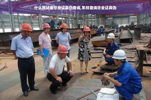 什么网站查毕业证真伪查询,怎样查询毕业证真伪