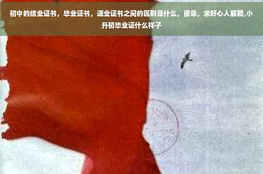 初中的结业证书，毕业证书，遗业证书之间的区别是什么，很急，求好心人解释,小升初毕业证什么样子