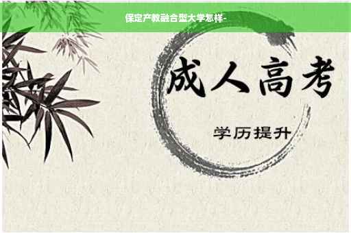 保定产教融合型大学怎样-