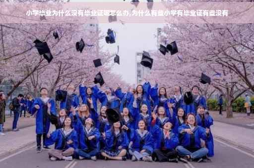 小学毕业为什么没有毕业证呢怎么办,为什么有些小学有毕业证有些没有