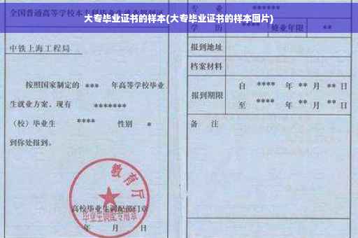 大专毕业证书的样本(大专毕业证书的样本图片)