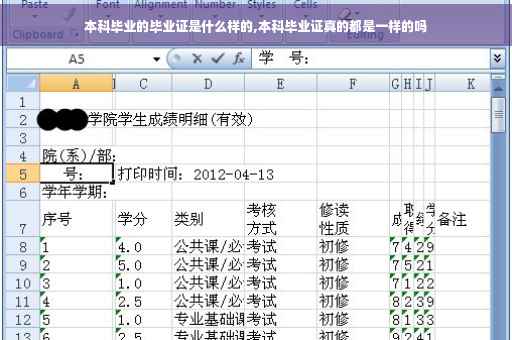 本科毕业的毕业证是什么样的,本科毕业证真的都是一样的吗