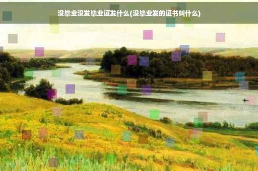 没毕业没发毕业证发什么(没毕业发的证书叫什么)