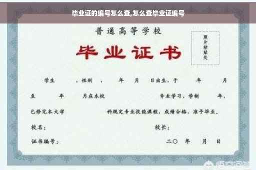 毕业证的编号怎么查,怎么查毕业证编号