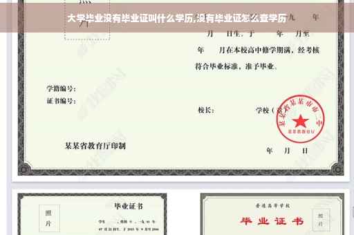 大学毕业没有毕业证叫什么学历,没有毕业证怎么查学历