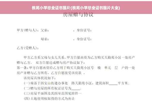 桃苑小学毕业证书图片(桃苑小学毕业证书图片大全)