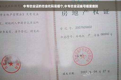 中专毕业证的毕业代码是哪个,中专毕业证编号哪里查到