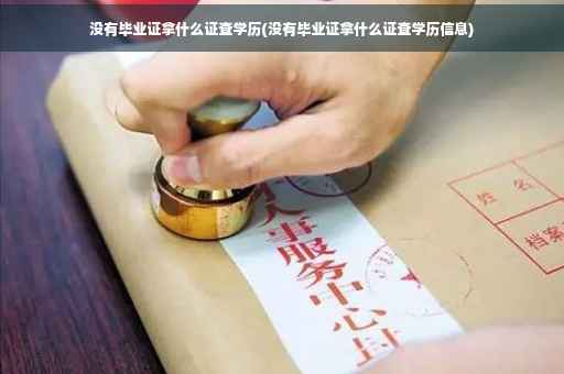 没有毕业证拿什么证查学历(没有毕业证拿什么证查学历信息)