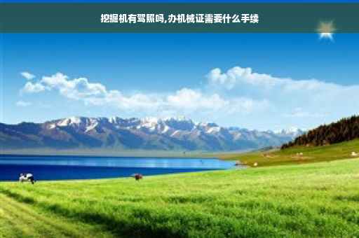挖掘机有驾照吗,办机械证需要什么手续