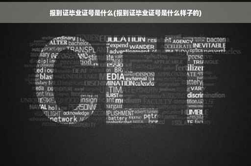报到证毕业证号是什么(报到证毕业证号是什么样子的)