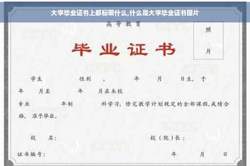 大学毕业证书上都标明什么,什么是大学毕业证书图片