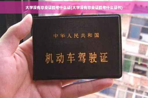 大学没有毕业证能考什么证(大学没有毕业证能考什么证书)