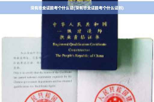 没有毕业证能考个什么证(没有毕业证能考个什么证书)