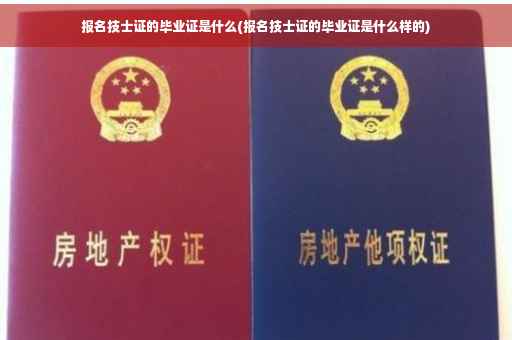 报名技士证的毕业证是什么(报名技士证的毕业证是什么样的)