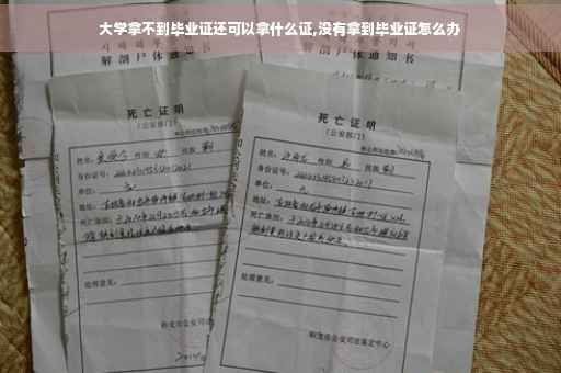 大学拿不到毕业证还可以拿什么证,没有拿到毕业证怎么办