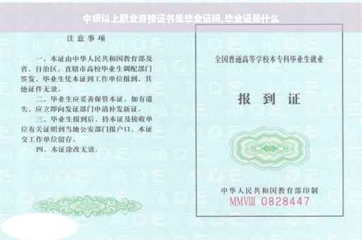 中级以上职业资格证书是毕业证吗,毕业证是什么