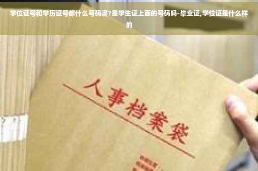 学位证号和学历证号都什么号码啊?是学生证上面的号码吗-毕业证,学位证是什么样的