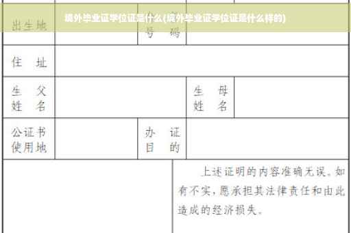 境外毕业证学位证是什么(境外毕业证学位证是什么样的)