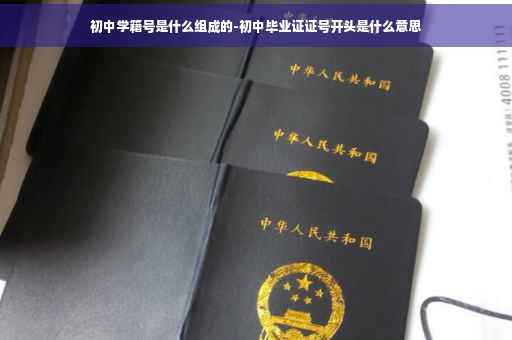 初中学籍号是什么组成的-初中毕业证证号开头是什么意思
