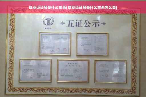 毕业证证号是什么东西(毕业证证号是什么东西怎么查)