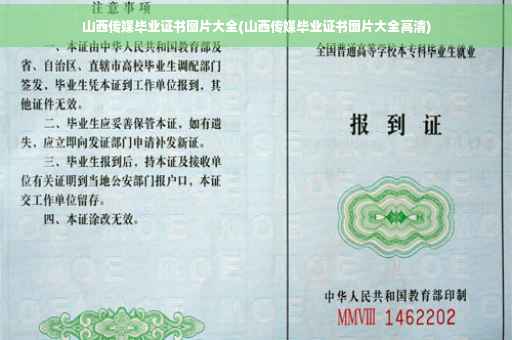 山西传媒毕业证书图片大全(山西传媒毕业证书图片大全高清)