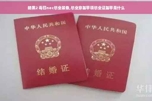 暗黑2 毒召nec毕业装备,毕业穿盔甲领毕业证盔甲是什么