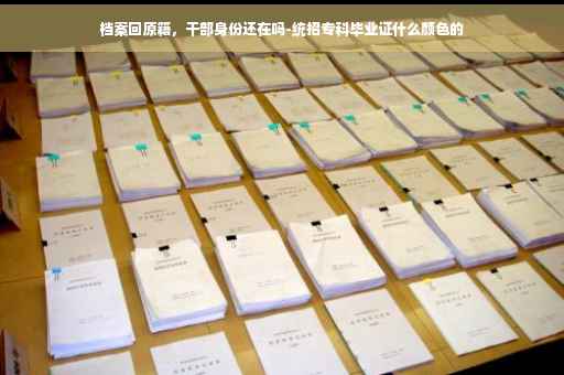 档案回原籍，干部身份还在吗-统招专科毕业证什么颜色的