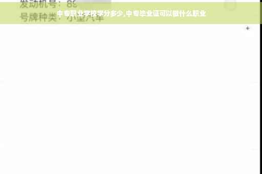 中专职业学校学分多少,中专毕业证可以做什么职业