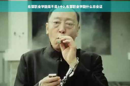 东营职业学院是不是3十2,东营职业学院什么毕业证