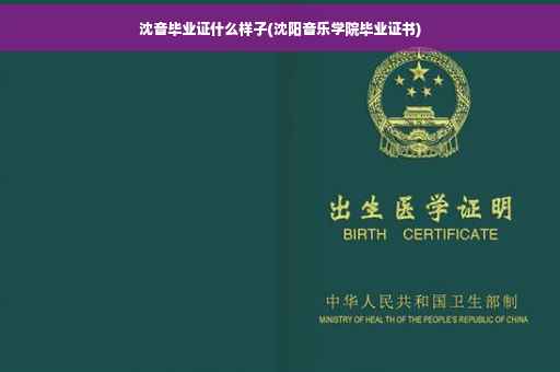 沈音毕业证什么样子(沈阳音乐学院毕业证书)
